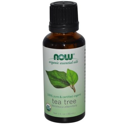 NOW FOODS, ORGANIC ESSENTIAL OILS, TEA TREE, 1 FL OZ / 30ml