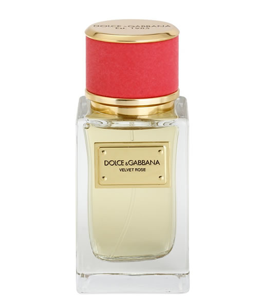 DOLCE & GABBANA D&G VELVET ROSE EDP FOR WOMEN nước hoa việt nam Perfume  Vietnam